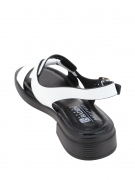 DL092-032. Фото №4