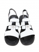 DL092-032. Фото №5