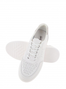 VE236-152. Фото №5