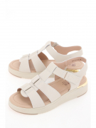 RN313-010. Фото №1