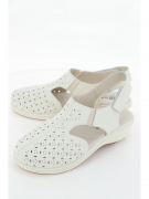 P399-013. Фото №1