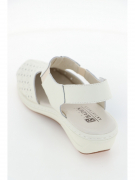 P399-013. Фото №5